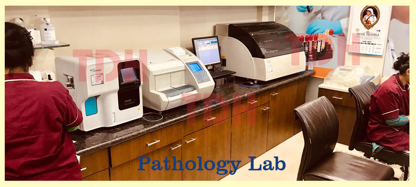 The Diagnostic HUB | TDH